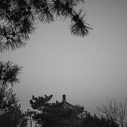 《辐射》推出官方授权桌游 现已开启预购